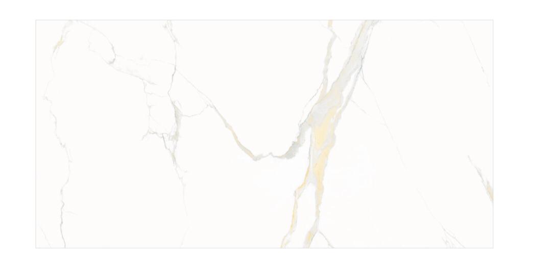 Calacatta Gold Polished 24"x48" Porcelain Tile
