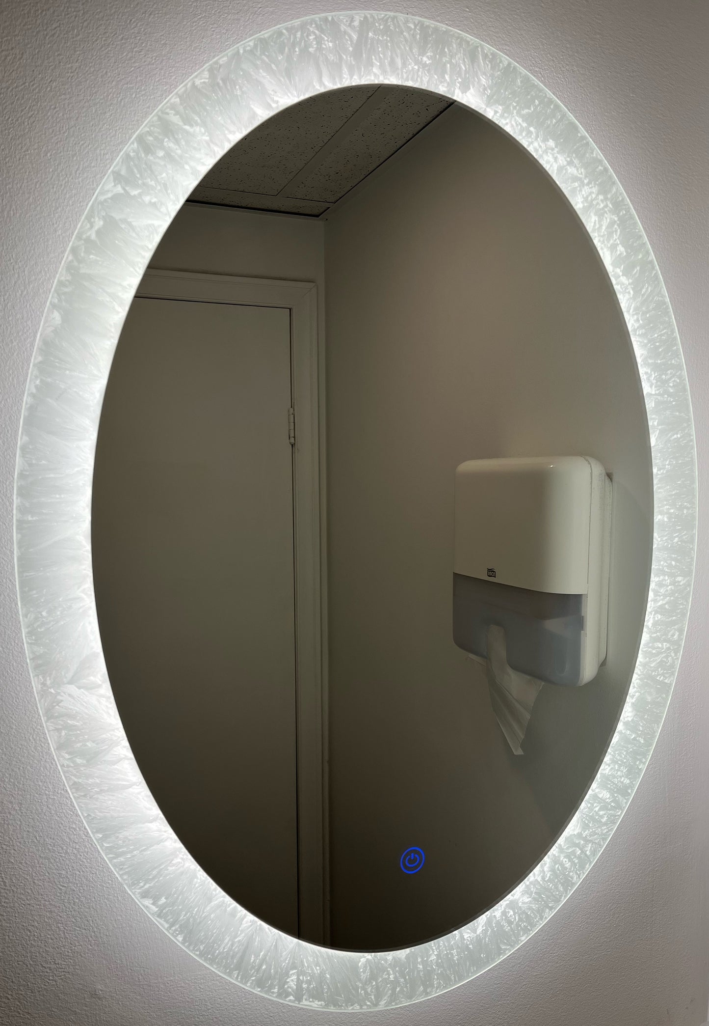 LED Bathroom Vanity Mirror Frosted Oval