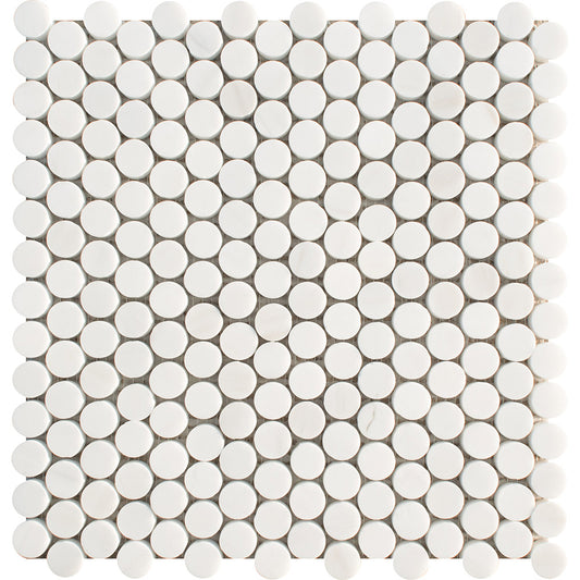 PAS 26-1 Dolomite Honed Marble Waterjet Mosaic